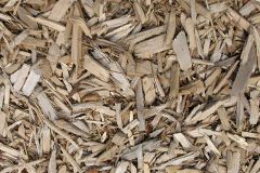 biomass boilers Llanllugan