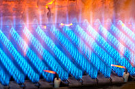 Llanllugan gas fired boilers